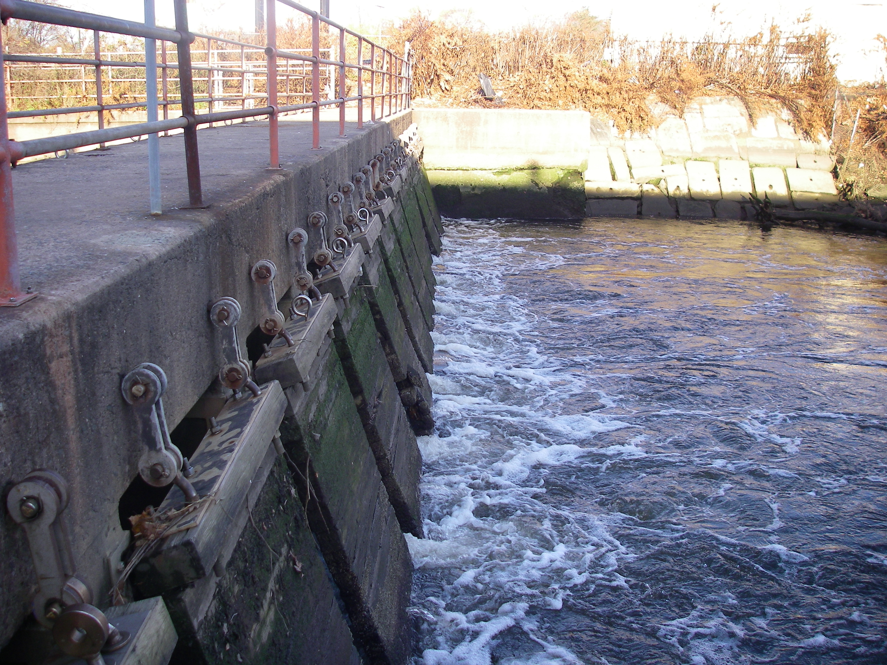 tide gates - low outgoing tide 005