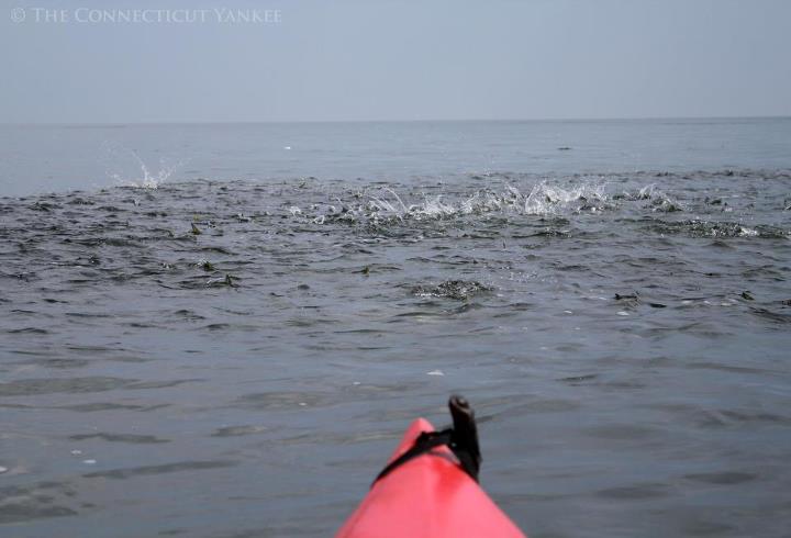 bunker - photo credit Kierran Broatch