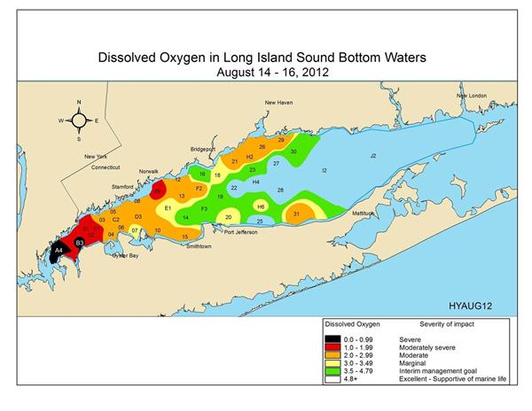 Dissolved Oxygen August 2012