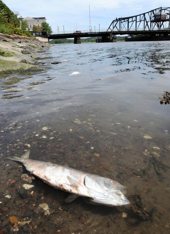 doc5021e47455fa9314207097