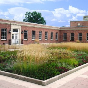 Aetna_Green_Roof
