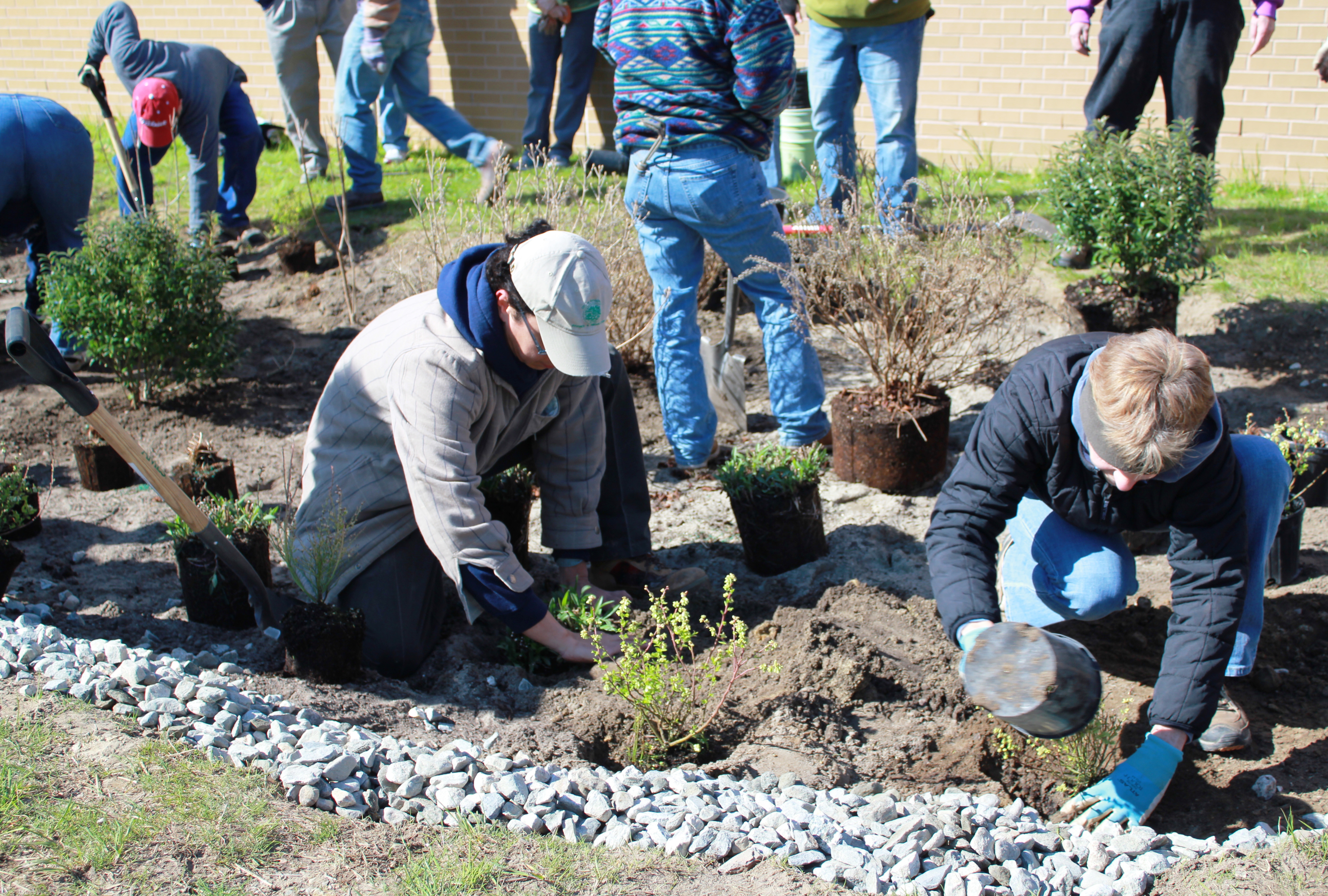 rain garden workshop 1 - photo credit Kierran Broatch