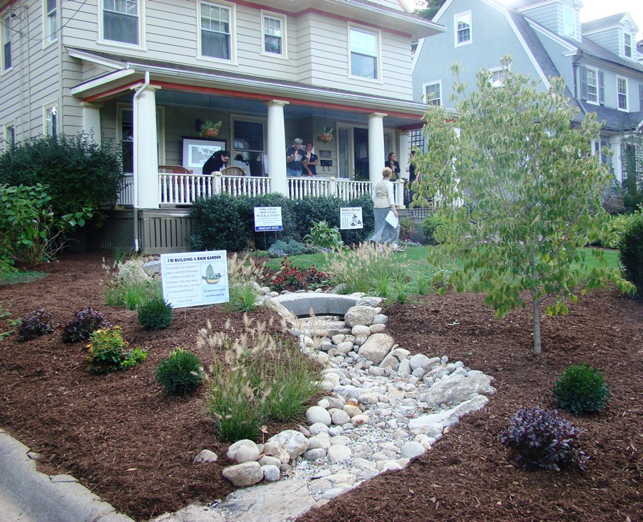 A rain garden at Secretary of the State Denise Merrill's house in Hartford