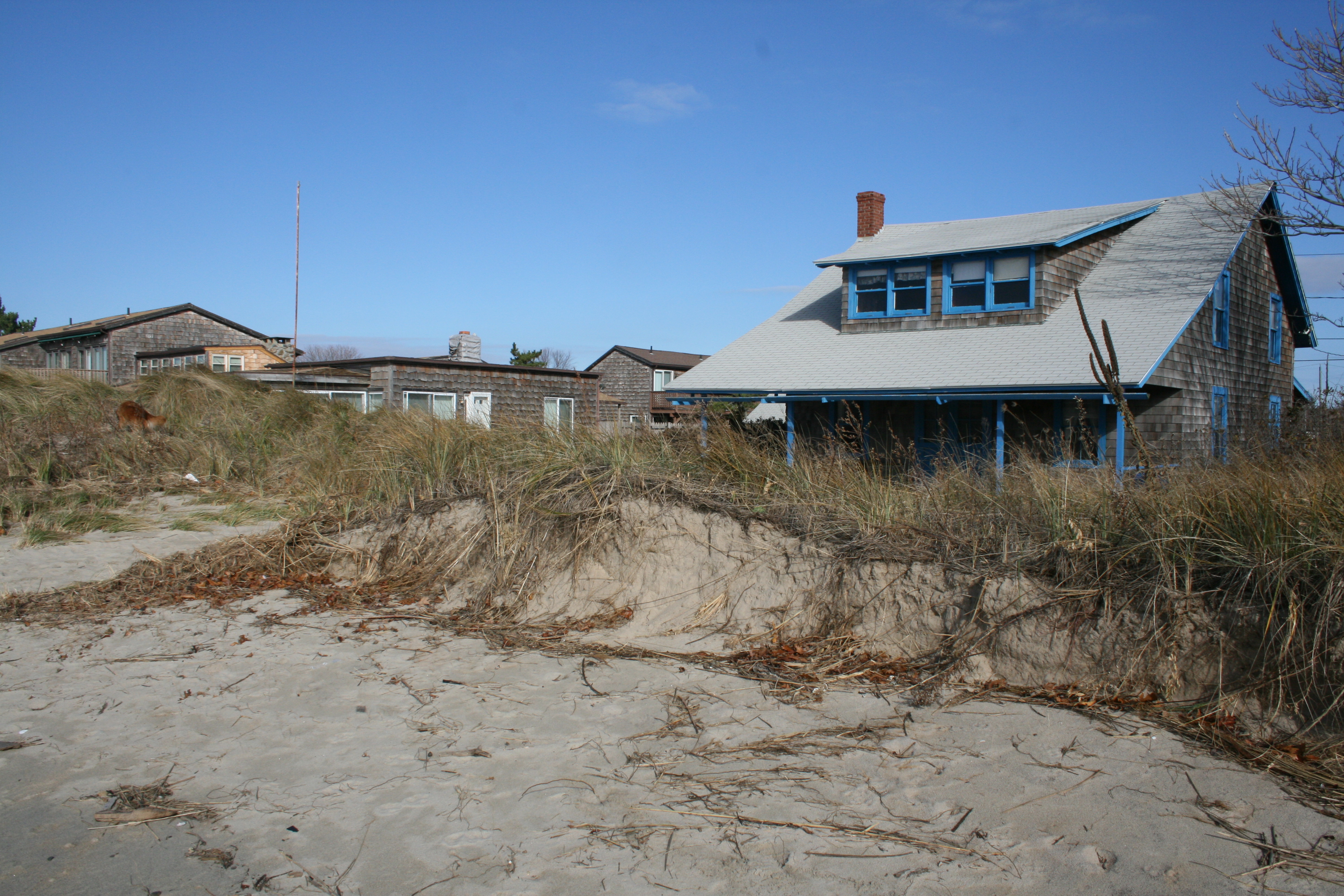 Protective Chalker Beach Dunes
