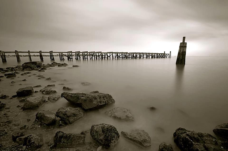 Save the Sound Winner:  Donna Johnson Buckley, Fort Nathan Hale in New Haven 