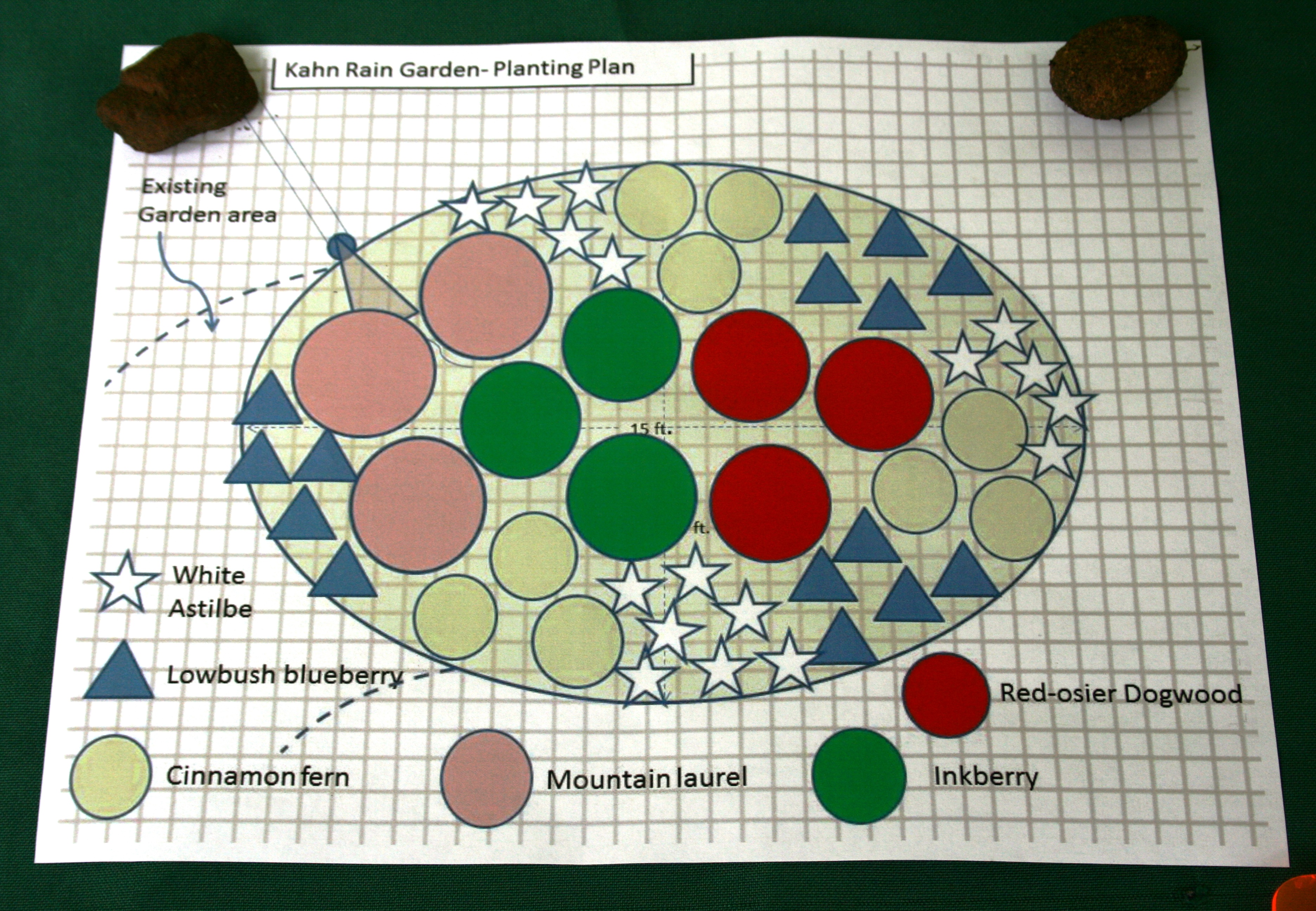 Map of the rain garden 