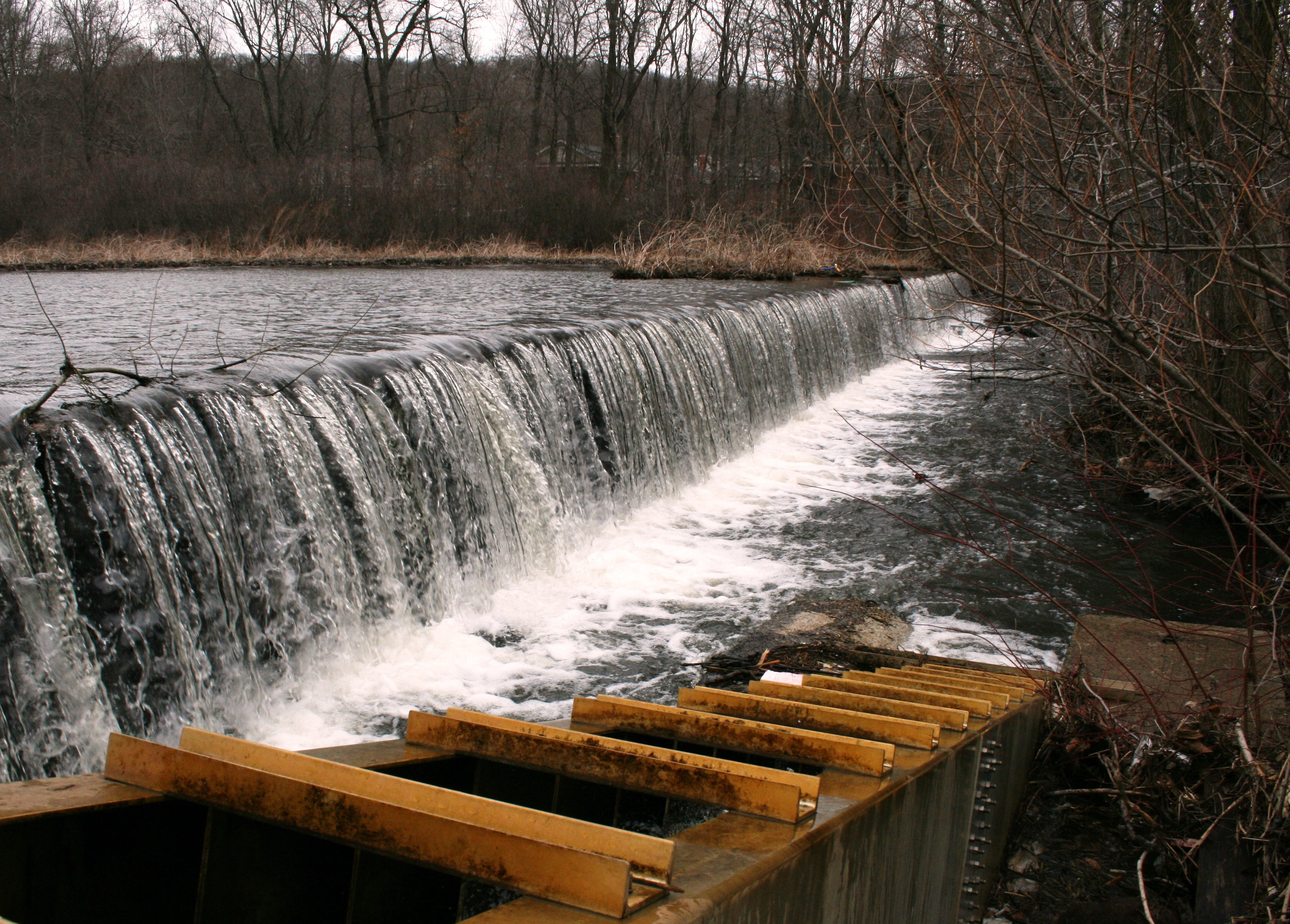 High water at the Pond Lily dam in March 2013. In the foreground is the current fishway.
