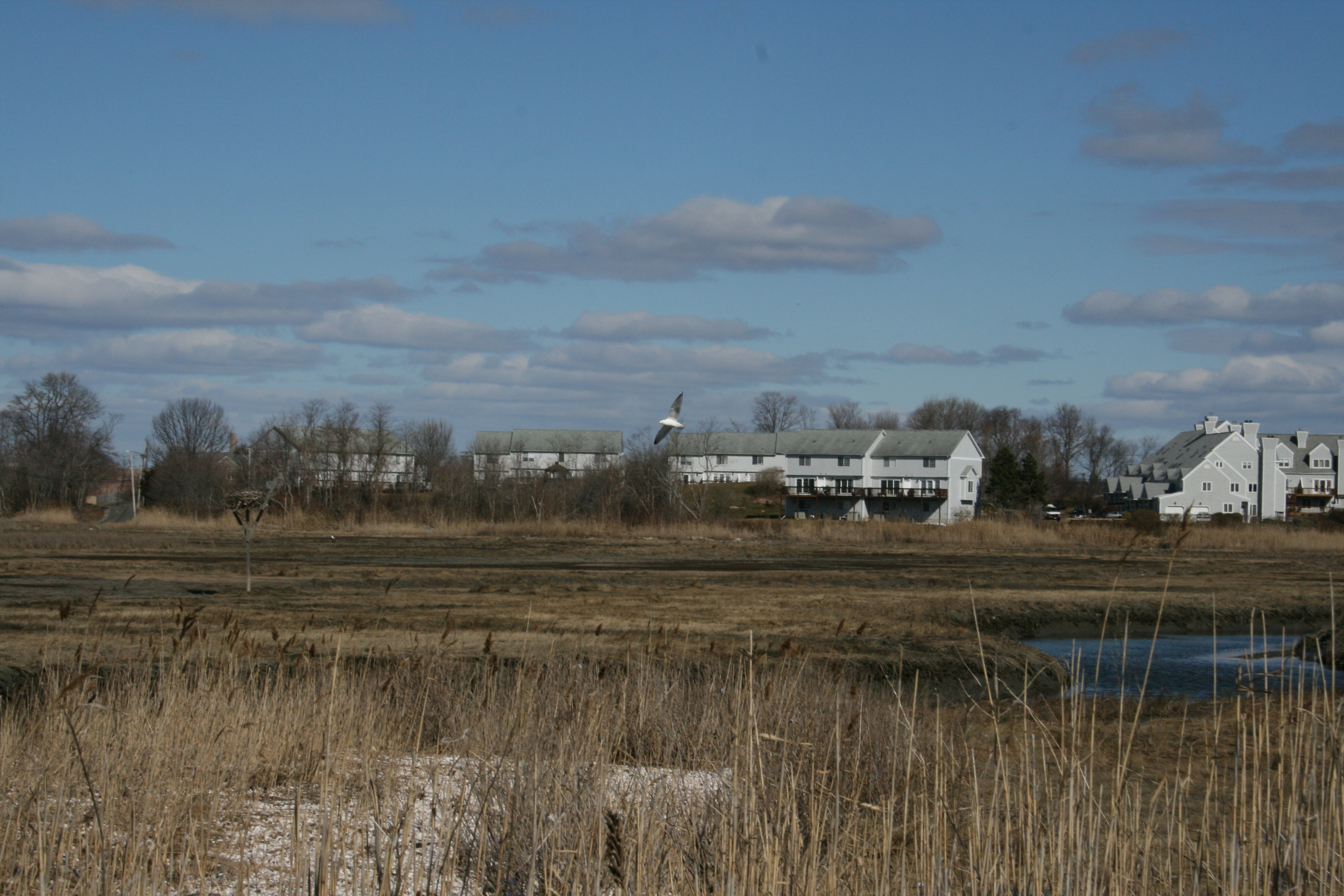Marshes in East Haven