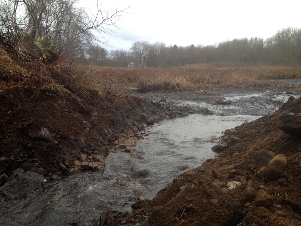 After 150 years, Mystic’s Whitford Brook flows free again Save the Sound