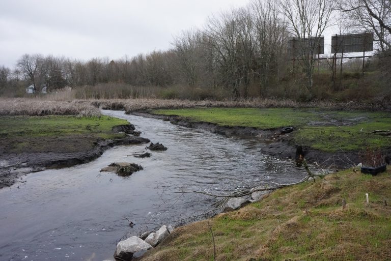 High Praise for Hyde Pond Save the Sound