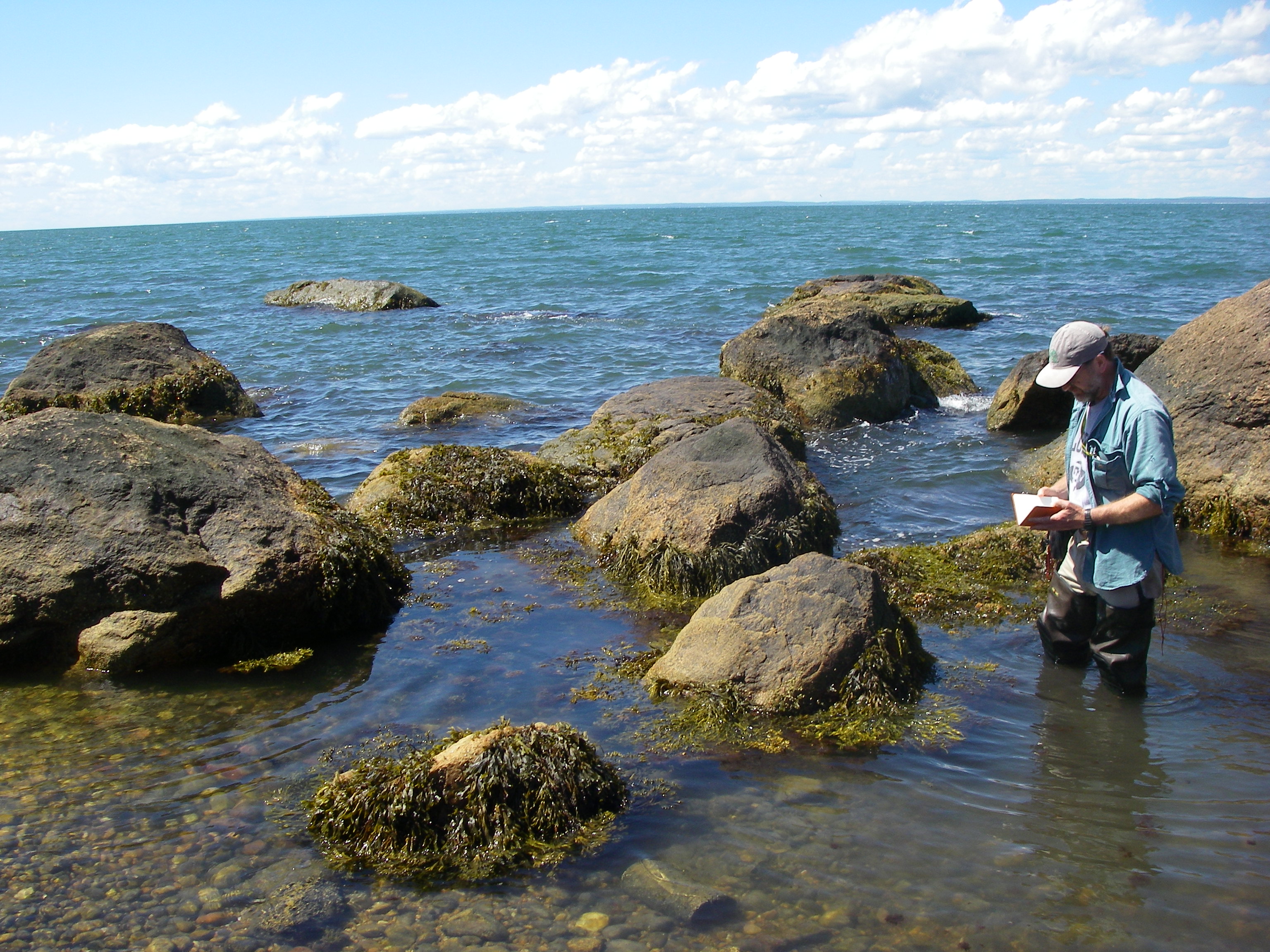 Greg Edinger -Plot in rocky intertidal (photo by Erin White)