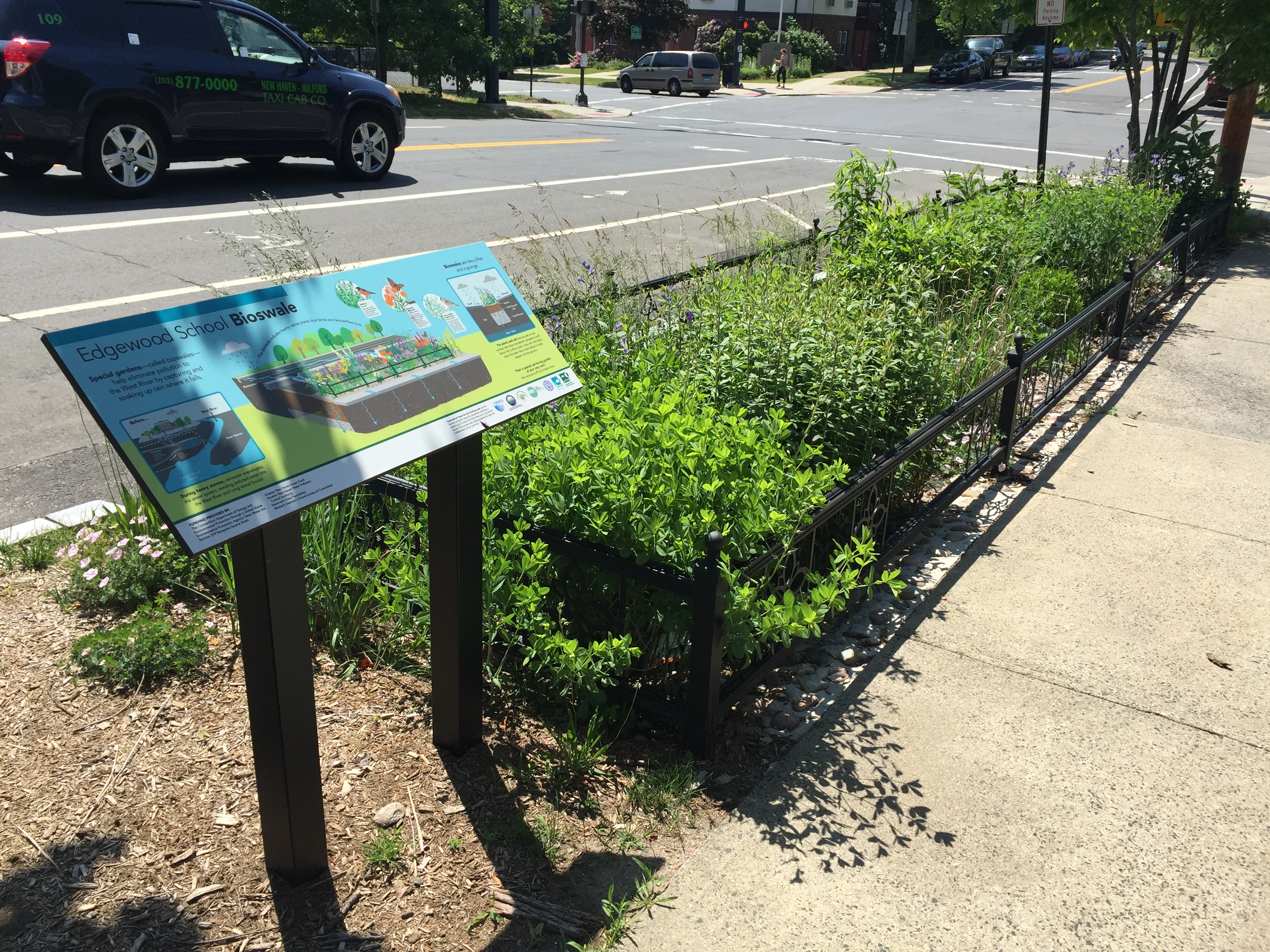 edgewood-bioswale-w-sign-june-2-2016