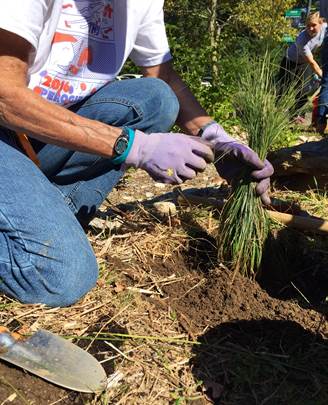 rain-garden-planting-grasses_fall_2016