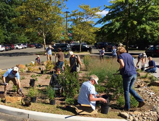 rain-garden-planting_fall-2016