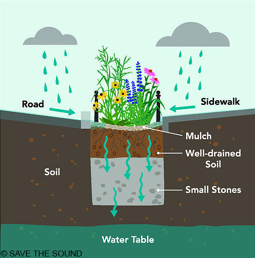 bioswale_infographic-no-border-copyright