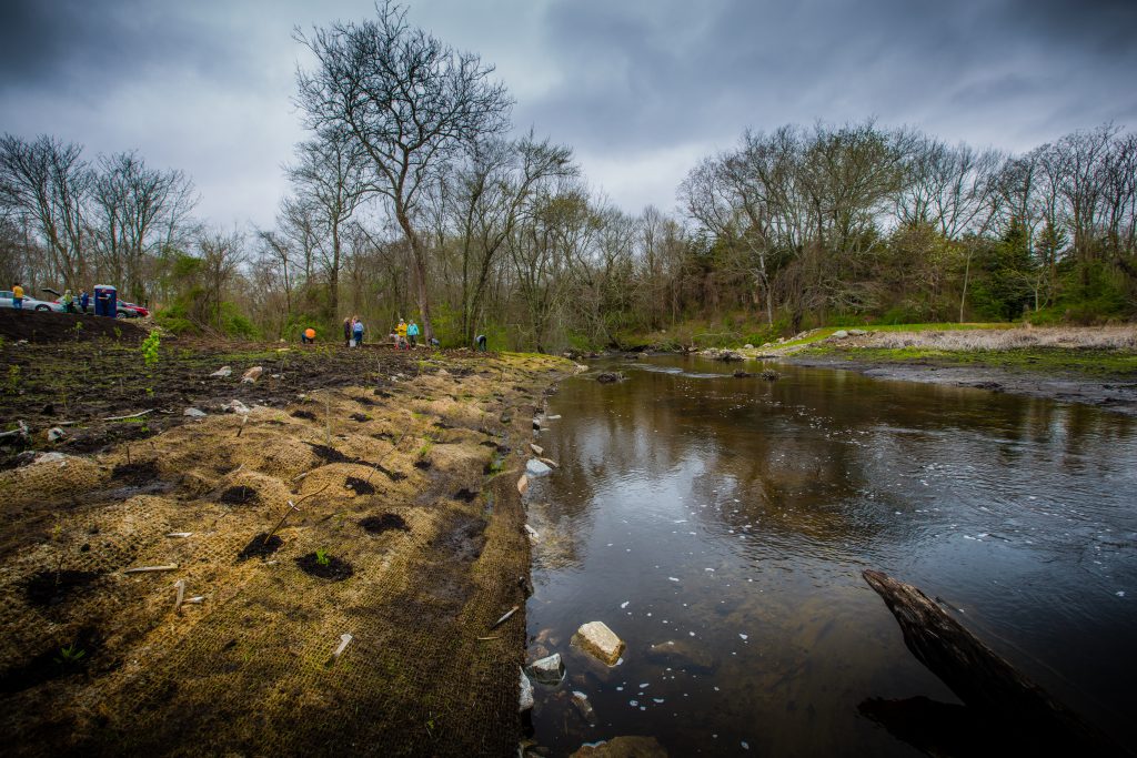 Fridays in the Field Letting Whitford Brook take its course Save the