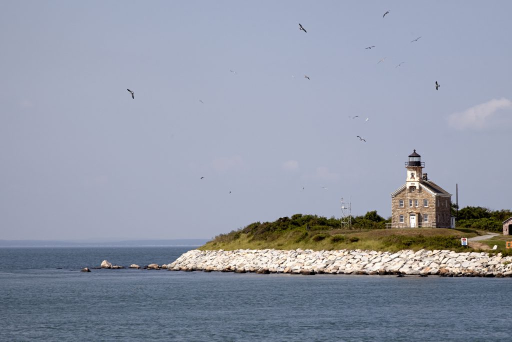 Feds postpone Plum Island sale, plan new enviro study; CFE/Save the
