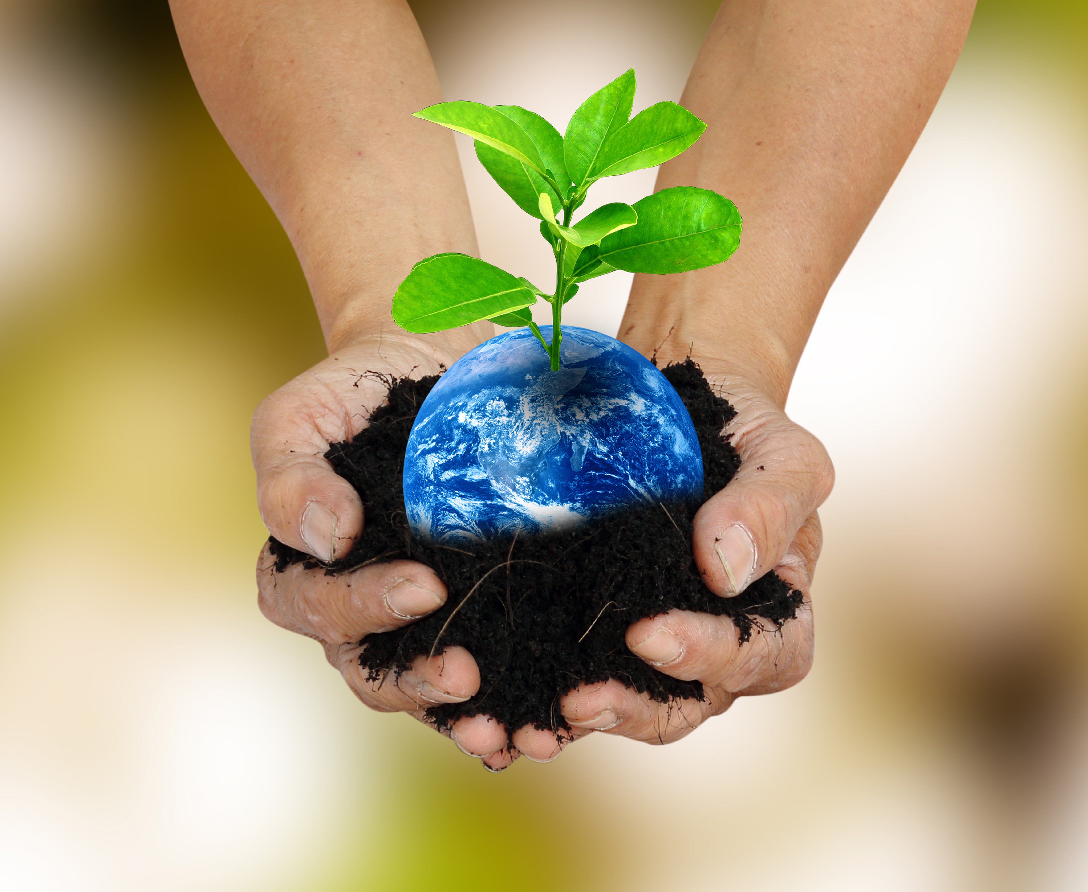 Hands holding plant & Earth shutterstock_273892445 - centered crop