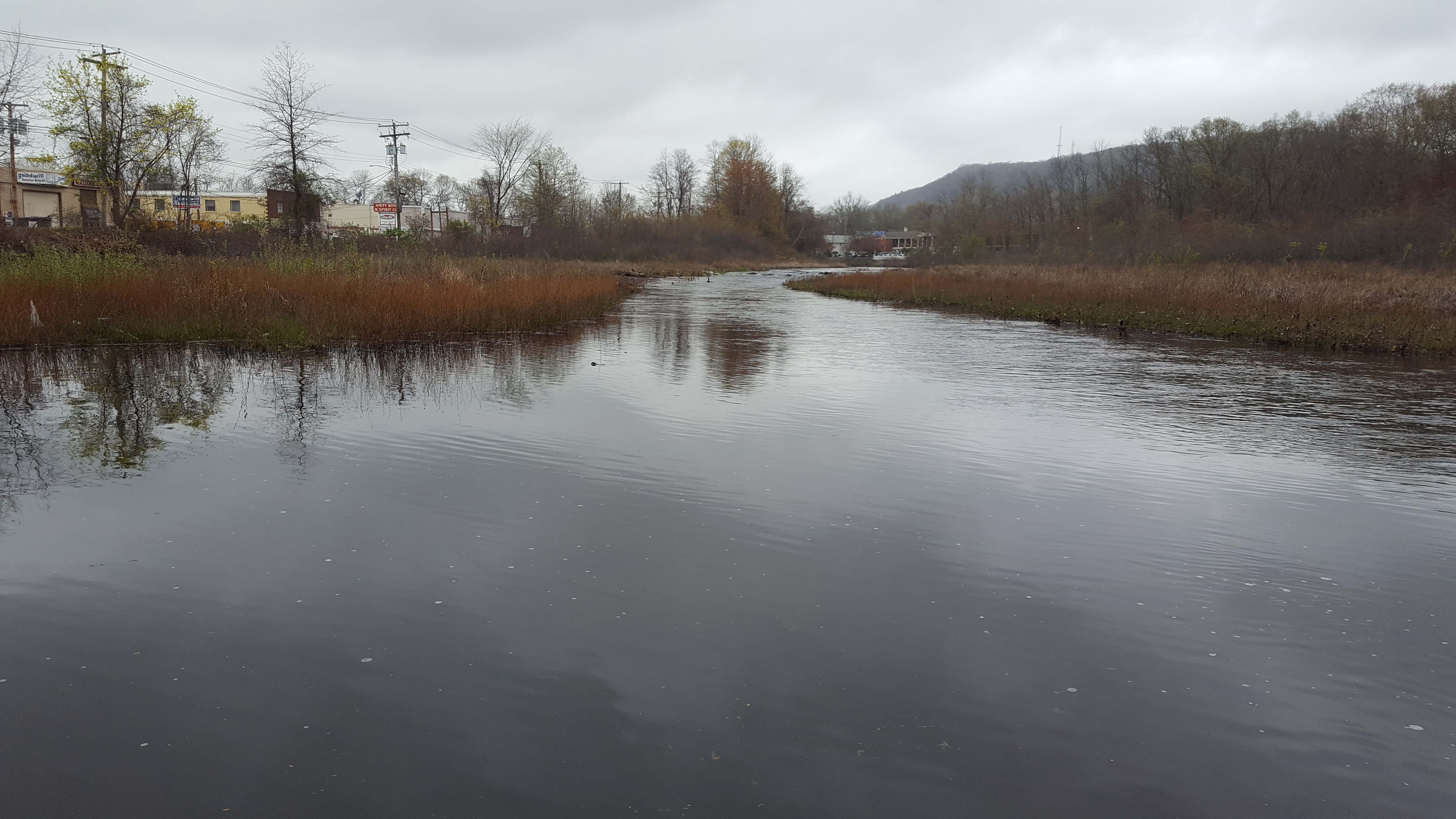 20170501 elsa phone 1693