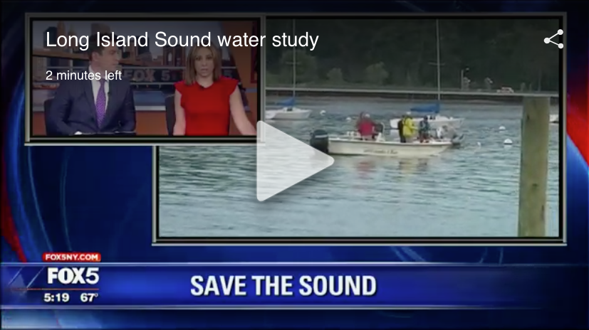 Screen Shot 2017-08-31 at 7.46.28 PM