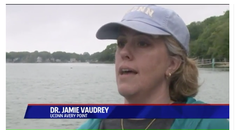 Screen Shot 2017-08-31 at 8.07.47 PM