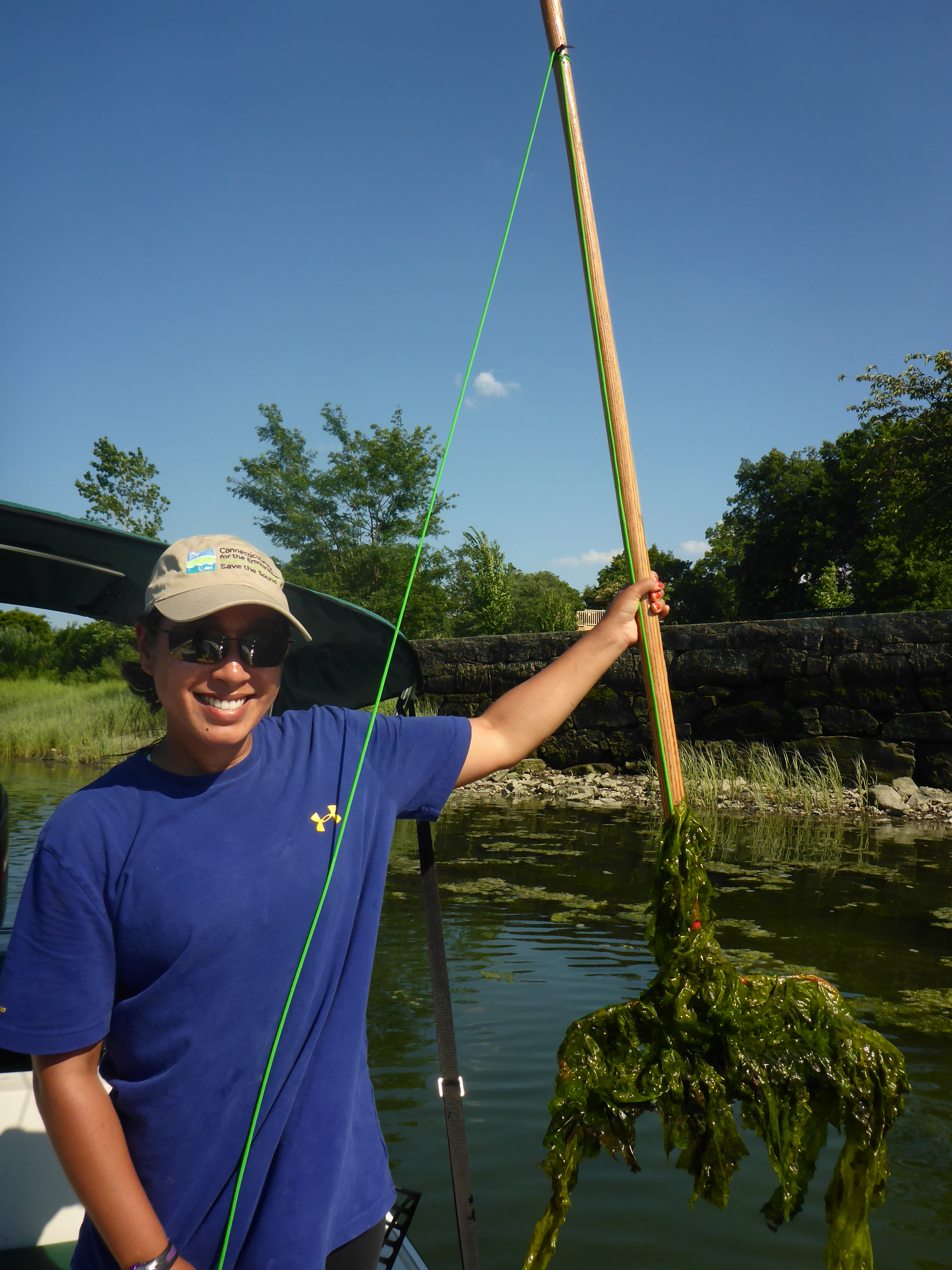 EL Rake Toss Macrophyte Picture