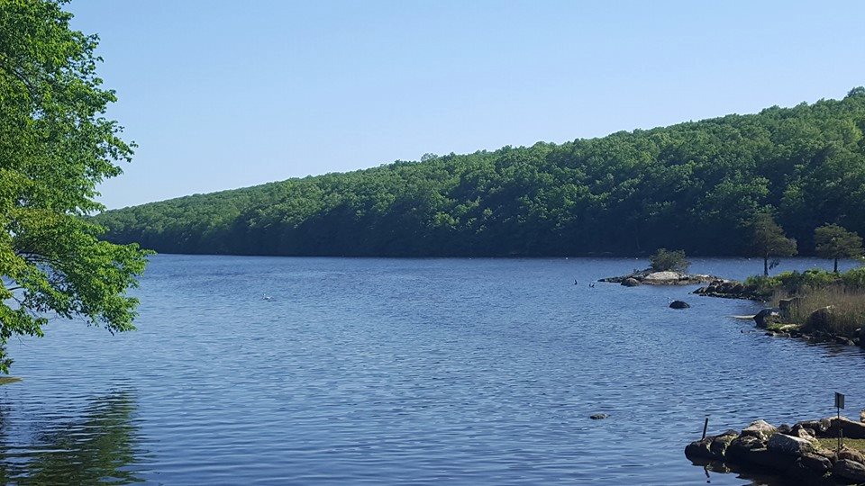 Oswegatchie Hills East Lyme Deb MoshierDunn Save the Sound