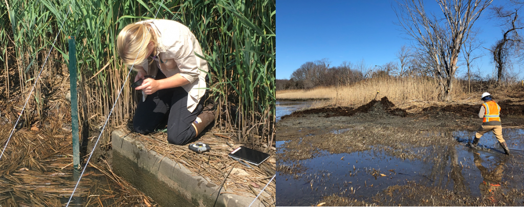 A young woman kneels next to the water with a test tube; a person in an orange vest strides across a marsh.