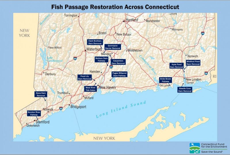 Fish Passage Restoration poster - Save the Sound
