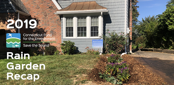 Rain Garden Recap 2019