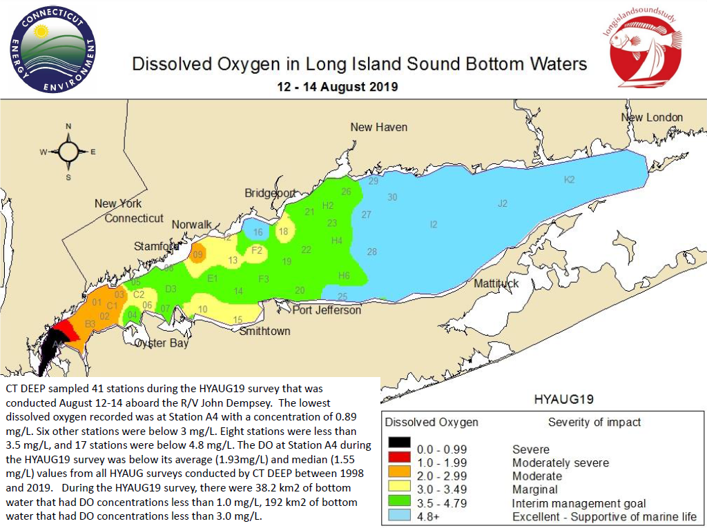 Map showing the extend and severity of low-oxygen conditions in August 2019