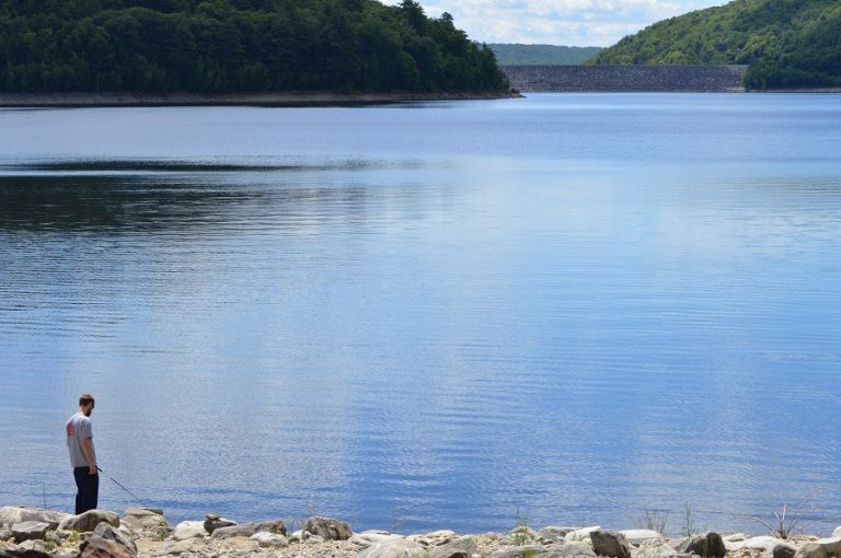 Colebrook Reservoir Core Forest Save the Sound