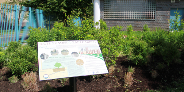 Aquaculture School Bridgeport rain garden