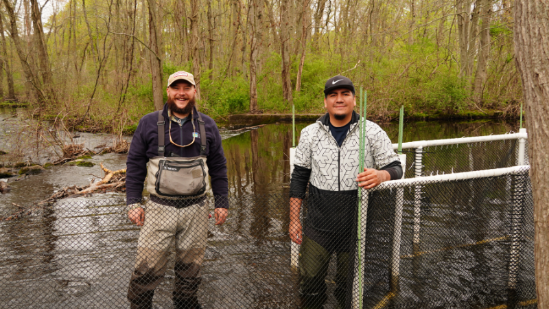 The Spring Fish Run is Underway! - Save the Sound