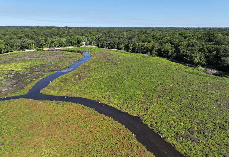 Nissequogue River
Photo courtesy of Seatuck Environmental Organization
A drone shot of a free-flowing Nissequogue River on the North Shore of Long Island, NY taken in 2025.
